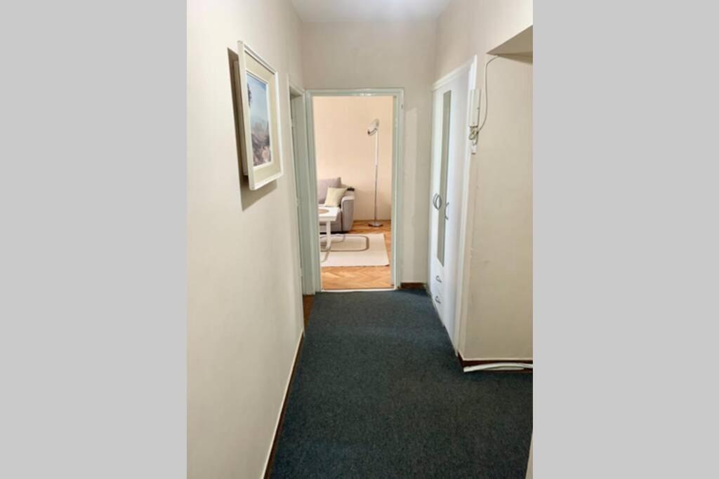 פודגוריצה Cute, Spacious Apt In The Heart Of The Old Town מראה חיצוני תמונה